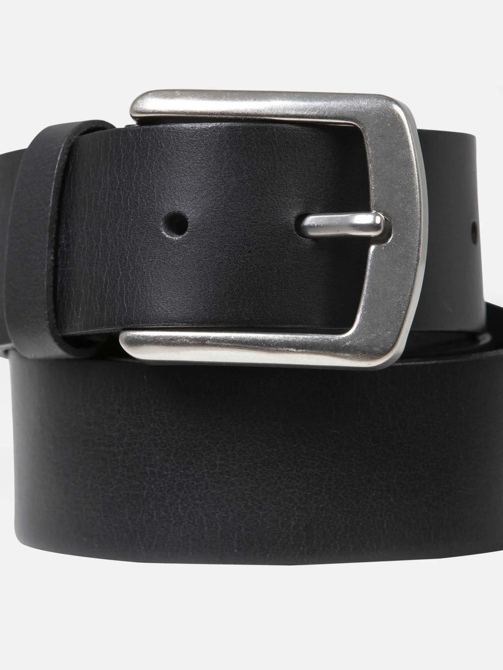 Der Palm Coast Black Belt