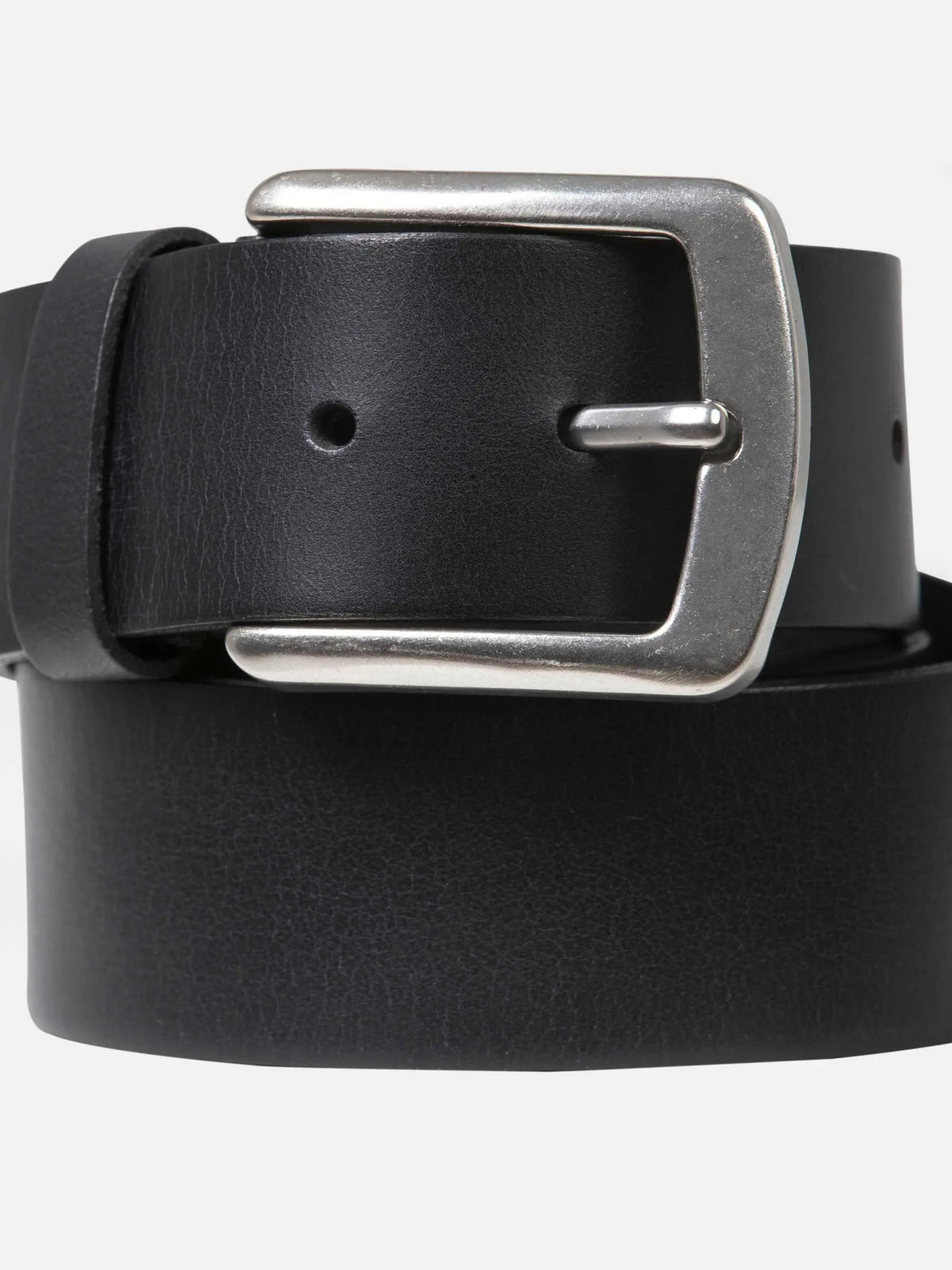 Der Palm Coast Black Belt